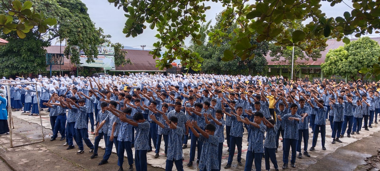 WhatsApp Image 2025-11-12 at 08.26.38